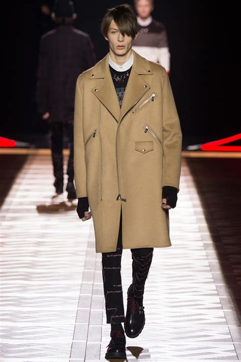 Dior Men Fall 2016 Menswear Fashion Show 